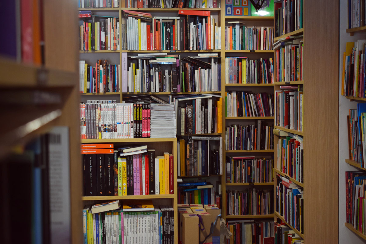 El Gran Pez - Interior de la libreria